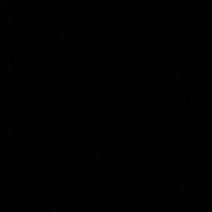 Meet your Posher, Cheyenne